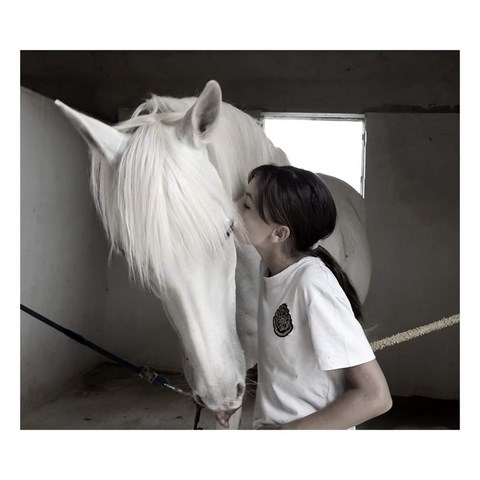 ERIC MONDANGE EM DEVELOPPEMENT matériel équitation