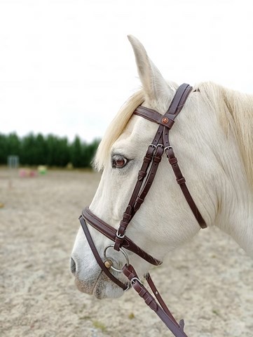 filet fancy mondange sport