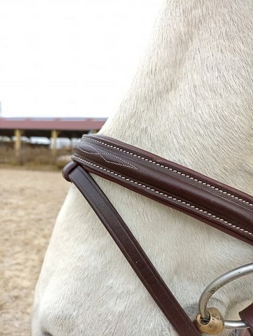 filet fancy MONDANGE SPORT