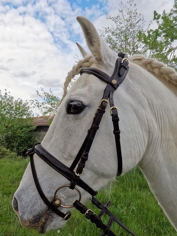 filet sans gênes confort